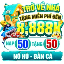 tipzo Game 02